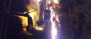 Värdefull ek i Flen förstörd i brand