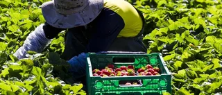 Dags att börja tänka på sommarjobb