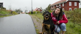 Ännu ingen hundrastgård i sikte i Trosa