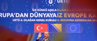 Finns det plats i Nato för både Turkiet och Sverige?