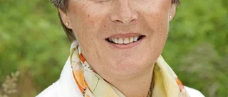MP vill göra kollektivtrafiken billigare...