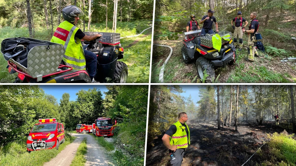 Räddningstjänsten är på plats med nio enheter vid skogsbranden norr om Uppsala.