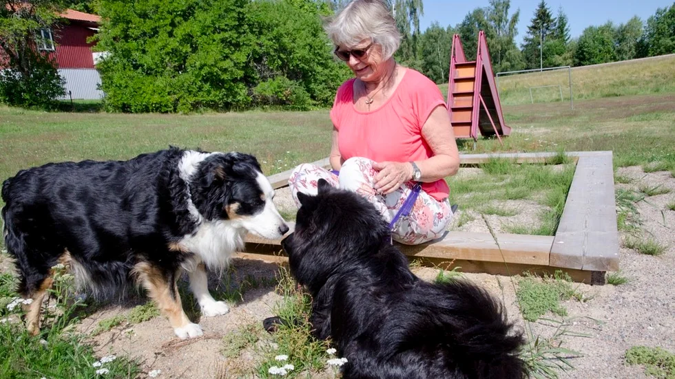 Grannhunden Julia kommer fram och hälsar på Inger Evensen och hennes hund Sarek. "Det vore perfekt om man kunde dela av platsen och kanske få till en lekgård för hundarna på den lutande fotbollsplanen"