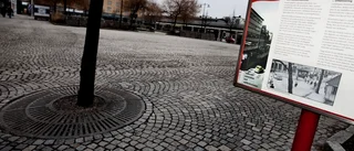 Politisk kritik mot markpriser i stan