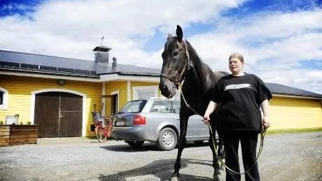 gulddivisionen. Paul November, tränad av Madelene Wiksten, är länets hopp i det prestigefyllda loppet Norrbottens Stora Pris. Mamman till Paul November är den förre världsstjärnan Ina Scot.