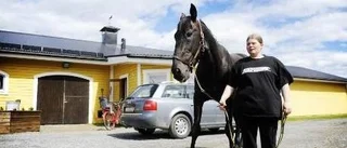Sista chansen för Paul