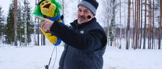 Lejon möter älg i Överkalix