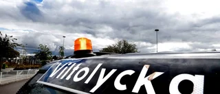 Lastbil körde ihjäl ren