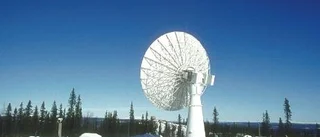 Antennskogen växer på Esrange