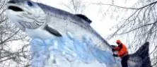 Svårt fixa isdjur utan snö