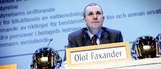 VD:n tror på fortsatt positiv utveckling