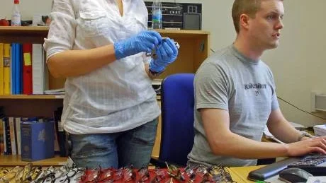 UTREDER. Kriminalinspektör Anette Selström och polisaspirant Fredrik Ek försöker bringa ordning och reda i det återbördade stöldgodset från kuppen i Kalix.