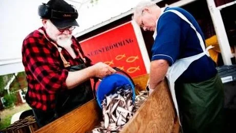 VERKSTAD. Anders Landelius och Glenn Öström är i full gång i surströmmingsverkstaden.