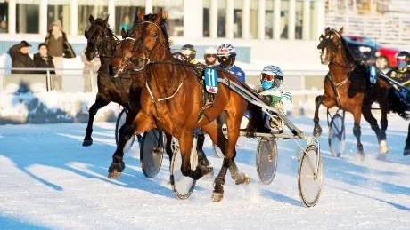 SKRÄLL. Zummer Nice vann till 41 gånger pengarna i V4-2.