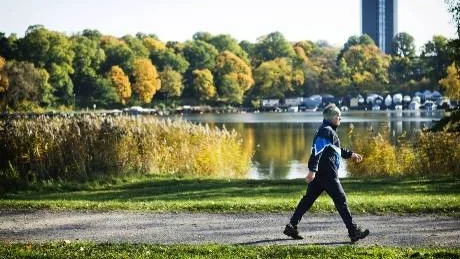 GÅ. "Fick vi hela svenska folket att promenera två gånger 30 minuter i veckan så skulle vi få en betydligt bättre allmänhälsa generellt", anser träningsrådgivaren Ulf Haak.