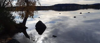Läsarbilden: Stilla flyter älven