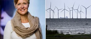 Stöd försvinner för havsbaserad vindkraft: "Kan inte säga att alla projekt överlever"