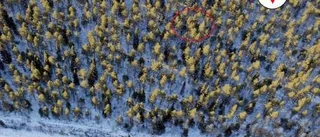 "Chock när gubbarna dök upp i skogen"