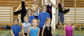 20-årsjubileum firas med stor uppvisning