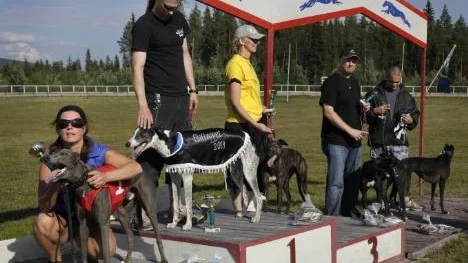Snabbast i Elitloppet var finska hunden Chief Tail, NBK Älvsbyn, här med ägaren Sanna Kokko. Tvåa blev Ulrika Bergqvists Pacific Highway, Skellefteå, och på tredje plats kom Katarina Lindmarks Toxic Tea Fairy, Gästrike.