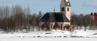 Vanliga och mindre vanliga vårfåglar i Arjeplog