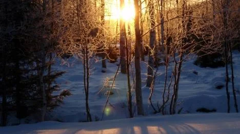 22 grader kallt var det när den här bilden togs. Solen stiger sakta upp vid förmiddagens skidtur i Stockfors utanför Älvsbyn.