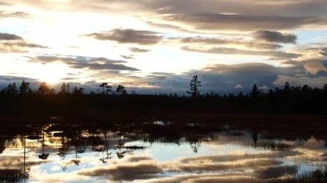 Längs 95:an mellan Arjeplog och Laisvall.