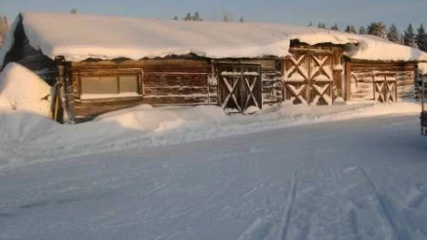 Vinter i Långträsk.