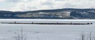 Renflytt - ett säkert vårtecken