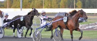 Fixar Ozzy Ness en ny V75-seger?