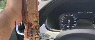 Åtalade för Adrianamordet misstänks för brott i Uppsala • "Kan ödelägga en lägenhet"