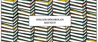 Den högre utbildningen håller för låg kvalitet