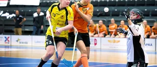 Luleå Energi Arena – en mardrömsarena