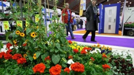 Blommor och kryddor hör våren till.