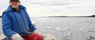 60-talet sälar i Storfjärden