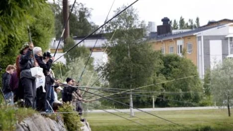 De var 26 gången Kanalmetet annordnades av Piteå sportfiskeklubb. Under lördagen deltog ett 70-tal personer i tävlingen.