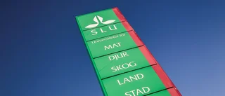 Ökat antal antagna på SLU