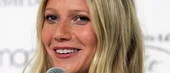 Paltrow skyller Brangelina för uppståndelse