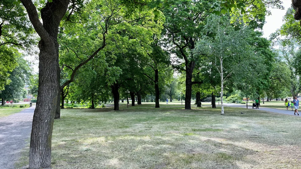 Anette Liljeholm tycker att förskolebarnen som leker i Stadsparken ska ha säkerhetsselar.