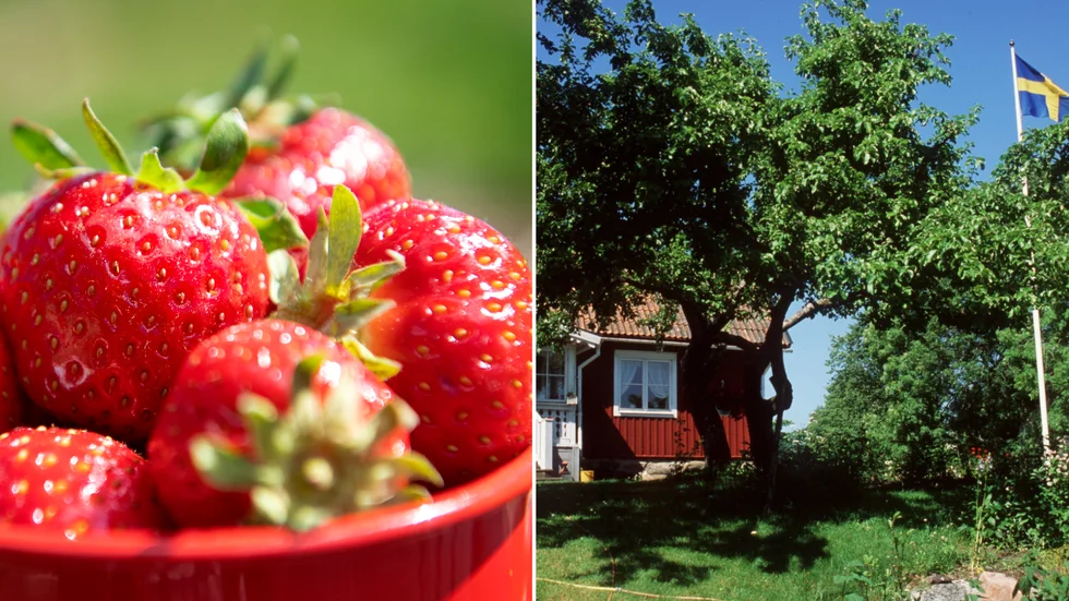 "Svensk sommar i en bild."