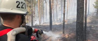 Här brann mest skog i Östergötland förra året