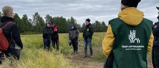 Öjeby Lantbruksmässa blir till fältdagar