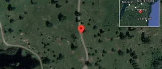 Fallna träd skapar problem i trafiken