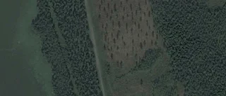 Ägarbyte för skogsmarken på Övre Flåsjön 1 i Gunnarsbyn