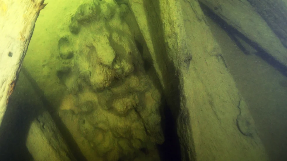 En lejonskulptur som överraskande finns kvar på vraket efter regalskeppet Äpplet som sänktes med vilje 1659.