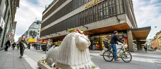 Skydda landet från farliga personer