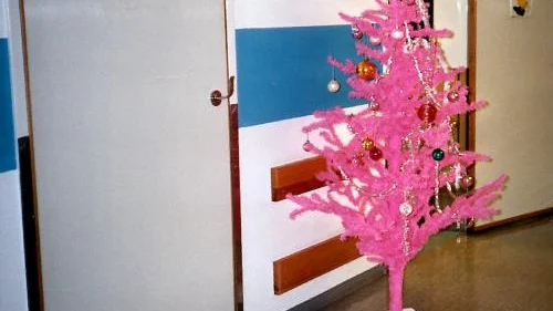 I 20 år har denna rosa plastgran roatpersonal och patienter på hudklinikensbehandlingsavdelning på US. Säga vad manvill, men många skratt har denframkallat under årens lopp. Bild: LOTTATHORELL