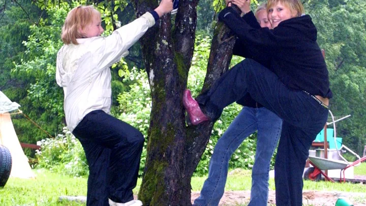 Trots hällregn och jättelika vattenpölar finns det alltid något att hitta på. Klättra i träd till exempel, vilket Lina Storm, Leo Gullberg, Eline Aronsson och Matilda Hansson gärna gör.