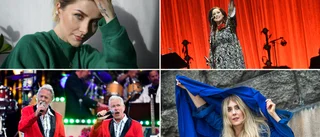 Skriv in i din kalender – här är sommarens konserter