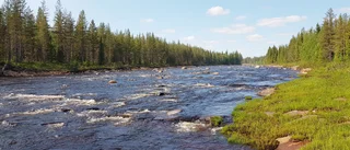 Vem äger tystnaden och de stilla stunderna vid älven?